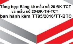 Tổng hợp Bảng kê mẫu số 20-ĐK-TCT (ban hành kèm TT95/2016/TT-BTC)