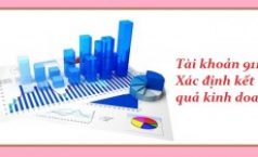 Báo cáo kết quả hoạt động kinh doanh Mẫu B02 – DNN theo Thông tư 133.