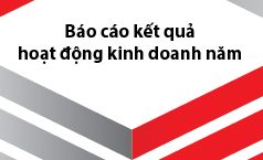 Báo cáo kết quả hoạt động kinh doanh năm theo Thông tư 200/2014/TT-BTC