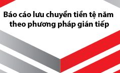 Báo cáo lưu chuyển tiền tệ năm theo phương pháp gián tiếp của Thông tư 200/2014/TT-BTC
