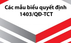 Các mẫu biểu quyết định 1403/QĐ-TCT