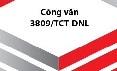 Công văn số 3809/TCT-DNL về việc xuất hóa đơn đối với hàng khuyến mại