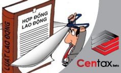 Công ty được đơn phương chấm dứt hợp đồng lao động trong trường hợp nào?