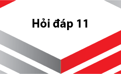 Hỏi Đáp 11