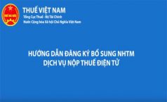 Video hướng dẫn đăng ký bổ sung NHTM dịch vụ nộp thuế điện tử