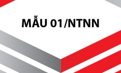 Mẫu số 01/NTNN tờ khai thuế nhà thầu nước ngoài