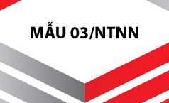 Mẫu 03/NTNN dành cho nhà thầu nước ngoài trực tiếp nộp thuế TNDN theo tỷ lệ %  trên doanh thu tính thuế
