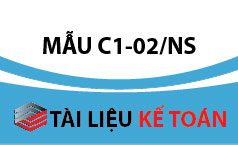 Giấy nộp tiền vào Ngân sách nhà nước theo mẫu C1-02/NS