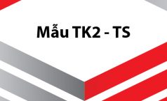 Tờ khai thay đổi thông tin người tham gia BHXH BHYT đối với người đã có sổ BHXH từ tỉnh khác chuyển về – Mẫu TK2-TS