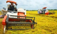 Thuế suất VAT đối với nhập khẩu máy nông nghiệp