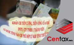 Tiền lương của Chủ Công ty TNHH một thành viên với những bước thăng trầm